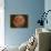 Excellent Closeup of a Full Moon-null-Photographic Print displayed on a wall