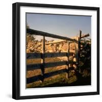 Excellent Detail of a Fieldstone Fence, a Good Example of Early American Masonry-Walker Evans-Framed Photographic Print