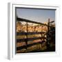 Excellent Detail of a Fieldstone Fence, a Good Example of Early American Masonry-Walker Evans-Framed Photographic Print