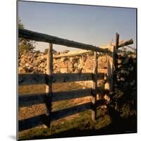 Excellent Detail of a Fieldstone Fence, a Good Example of Early American Masonry-Walker Evans-Mounted Photographic Print