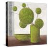 Excellent Green Balloons-Karsten Kirchner-Stretched Canvas