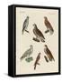 Excellent Hawks of Germany-null-Framed Stretched Canvas