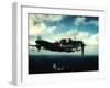 Excellent in Flight of US Navy Douglas Sbd "Dauntless" Torpedo Dive Bomber-null-Framed Photographic Print