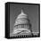 Excellent Monumental View of the Capitol Building and Dome, Showing the Central Section-Walker Evans-Framed Stretched Canvas