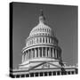 Excellent Monumental View of the Capitol Building and Dome, Showing the Central Section-Walker Evans-Stretched Canvas