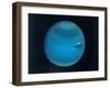 Excellent Narrow-Angle Camera Views of the Planet Neptune Taken from Voyager 2 Spacecraft-null-Framed Premium Photographic Print