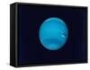 Excellent Narrow-Angle Camera Views of the Planet Neptune Taken from Voyager 2 Spacecraft-null-Framed Stretched Canvas