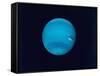 Excellent Narrow-Angle Camera Views of the Planet Neptune Taken from Voyager 2 Spacecraft-null-Framed Stretched Canvas