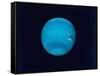 Excellent Narrow-Angle Camera Views of the Planet Neptune Taken from Voyager 2 Spacecraft-null-Framed Stretched Canvas