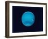 Excellent Narrow-Angle Camera Views of the Planet Neptune Taken from Voyager 2 Spacecraft-null-Framed Photographic Print