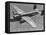 Excellent of a B-25 Mitchell Bomber in Flight-null-Framed Stretched Canvas