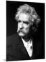 Excellent Portrait of American Author Samuel Langhorne Clemens, aka Mark Twain-null-Mounted Premium Photographic Print