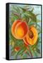 Excelsior Peach-null-Framed Stretched Canvas