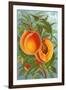 Excelsior Peach-null-Framed Art Print