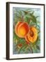 Excelsior Peach-null-Framed Art Print