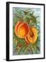 Excelsior Peach-null-Framed Art Print