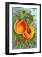 Excelsior Peach-null-Framed Art Print