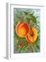 Excelsior Peach-null-Framed Art Print