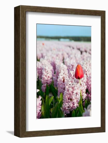 Exception-Ivonnewierink-Framed Photographic Print