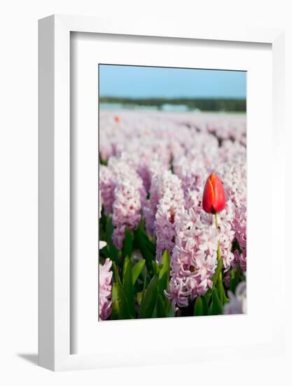 Exception-Ivonnewierink-Framed Photographic Print