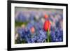 Exception-Ivonnewierink-Framed Photographic Print