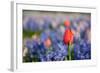 Exception-Ivonnewierink-Framed Photographic Print