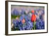 Exception-Ivonnewierink-Framed Photographic Print