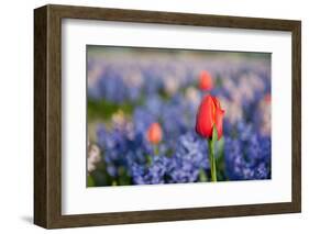 Exception-Ivonnewierink-Framed Photographic Print