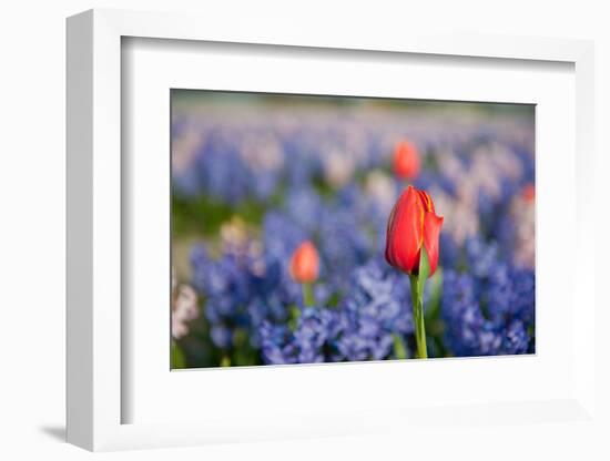 Exception-Ivonnewierink-Framed Photographic Print