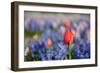 Exception-Ivonnewierink-Framed Photographic Print