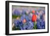 Exception-Ivonnewierink-Framed Photographic Print