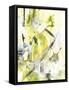 Exciting Times I-Joyce Combs-Framed Stretched Canvas