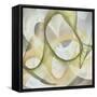 Excursion III-Alonzo Saunders-Framed Stretched Canvas