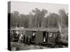 Excursion Logging Train, Harbor Springs, Mich.-null-Stretched Canvas