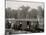 Excursion Logging Train, Harbor Springs, Mich.-null-Mounted Photo