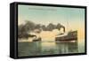 Excursion Steamers on Lake Michigan-null-Framed Stretched Canvas