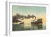 Excursion Steamers on Lake Michigan-null-Framed Art Print