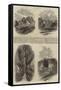 Excursions of the British Association-Edmund Morison Wimperis-Framed Stretched Canvas