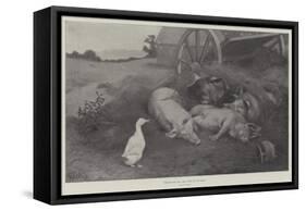 Excuse Me, You are Lying on My Nest-William Weekes-Framed Stretched Canvas