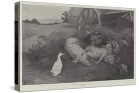 Excuse Me, You are Lying on My Nest-William Weekes-Stretched Canvas