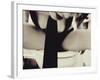 Excuse Me-Anita Libera Corsi-Framed Photographic Print