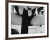 Excuse Me-Anita Libera Corsi-Framed Photographic Print