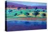 Exe Estuary-Paul Powis-Stretched Canvas