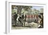 Execution of Patriot Nathan Hale by the British, 1776-null-Framed Giclee Print