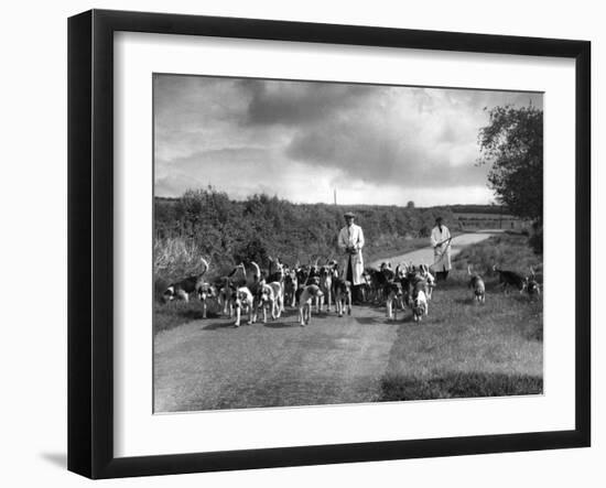 Exercising Hounds-Fred Musto-Framed Photographic Print