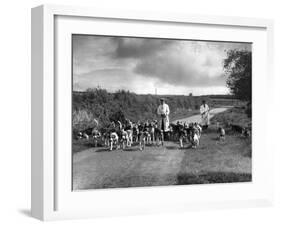 Exercising Hounds-Fred Musto-Framed Photographic Print