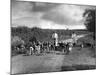 Exercising Hounds-Fred Musto-Mounted Photographic Print