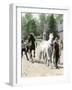 Exercising Some Trotting Champion Mares at Woodburn Farm, Kentucky, 1890s-null-Framed Giclee Print