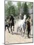 Exercising Some Trotting Champion Mares at Woodburn Farm, Kentucky, 1890s-null-Mounted Giclee Print