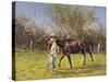 Exercising the Horse,-Edward Dawson-Stretched Canvas